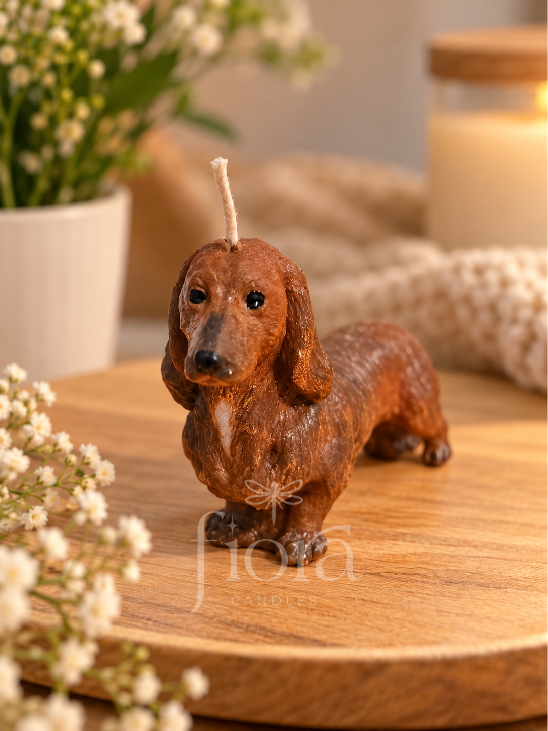 Perrito Salchicha
